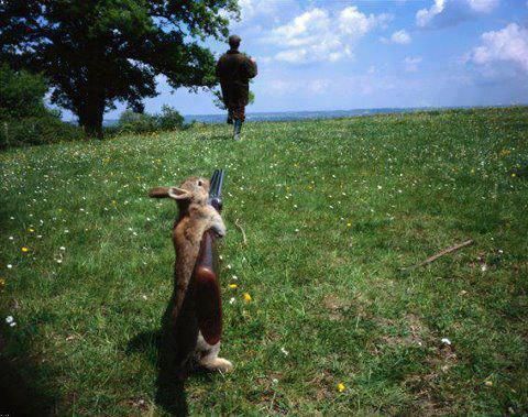 Petit coucou de la créatrice! Lapin-chasseur