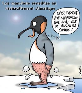 http://a142.idata.over-blog.com/1/09/63/27/manchot-et-le-rechauffement-climatique-copie-1.jpg